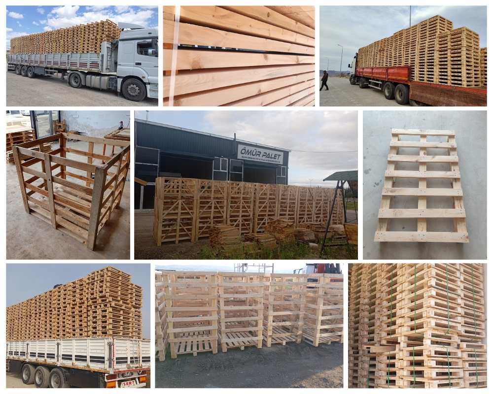 Zutphen Houten Kisten, Europallets Groothandel Kopen